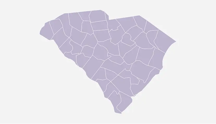 A simplified map of South Carolina with county boundaries outlined against a light gray background.
